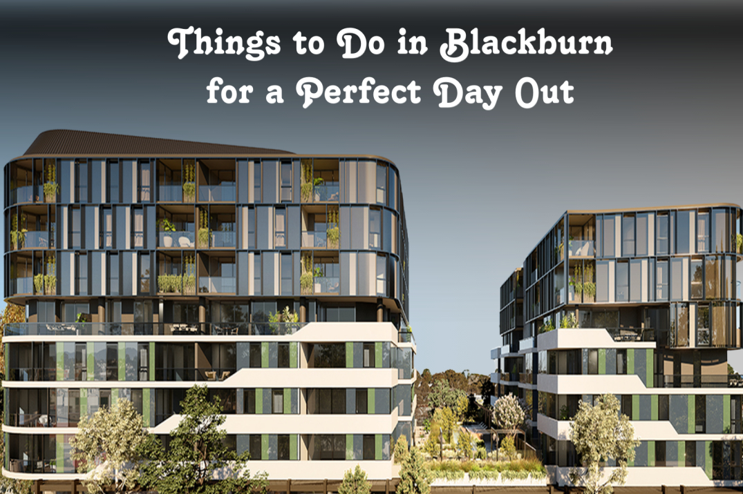 Things To Do In Blackburn For a Perfect Day Out